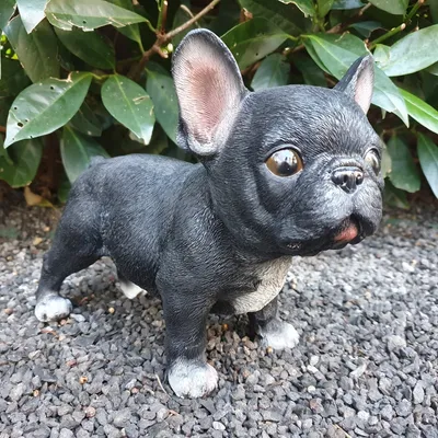 Produktbild von Gartenfigur französische Bulldogge Figur steht 17 cm