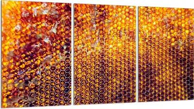 Produktbild von Glasschutzplatte für Herd 3x30x52