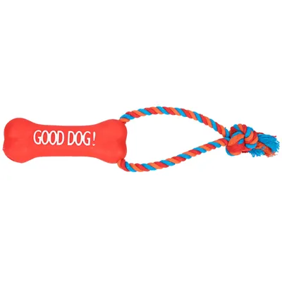 Obrázek produktu pro DINGO lano s modrou kostí - hračka pro psy - 13 cm