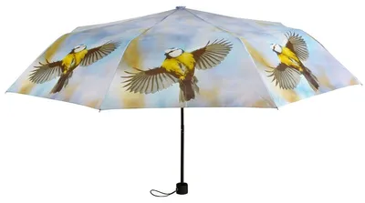Produktbild von Esschert Design Regenschirm mit Blaumeisen Motiv zusammenfaltbar
