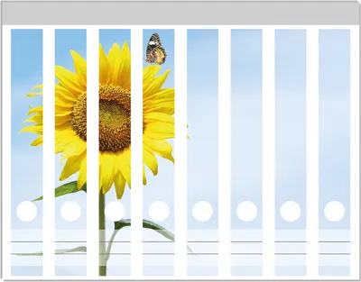 Produktbild von Wallario Ordnerrücken Sticker, selbstklebend für schmale Ordner, 8 Stück, Motiv Sonnenblume mit Schmetterling