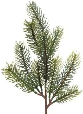 Produktbild von Tannenzweig 35cm PE Spritzguss künstlich grün