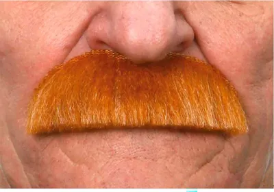 Obrázek produktu pro Mom Moustache Brown Brown One Size