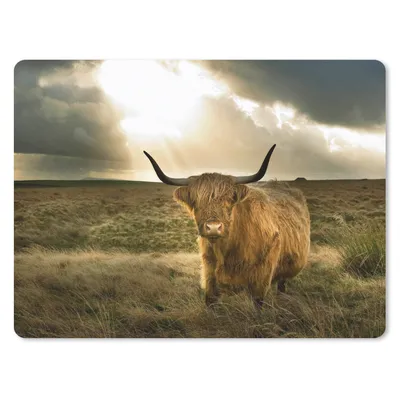Produktbild von MuchoWow® Mauspad Mousepad Schottischer Hochländer - Sonne - Tiere 40x30 cm - Mousepads - Maus Mat - Pad - Mausunterlage - Anti Rutsch