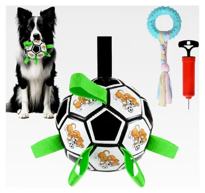 Produktbild von Hundespielzeug Ball 15cm mit Griff und Aufblas-Pumpe sowie Kauspielzeug, Robuster Trainingsball für kleine und mittlere Hunde, Apportierspielzeug, Wasserspielzeug und Zerrspielzeug