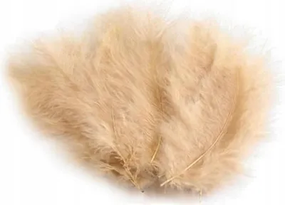 Produktbild von Beige Federn 10-12 cm, 50 Stück.