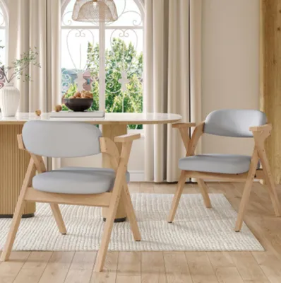 Produktbild von 2 klappbare Esszimmerstühle, Küchenstuhl Atmungsaktiv, faltbar und verstaubar, geeignet für Esszimmer, Wohnzimmer