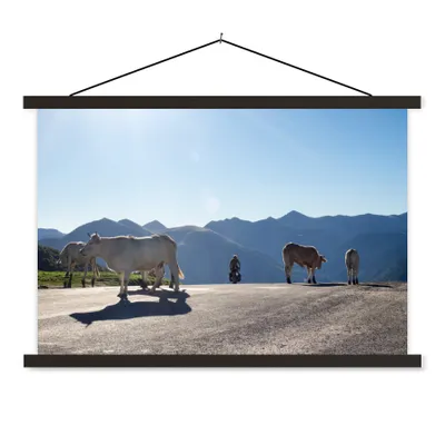 Produktbild von MuchoWow® Textilposter Schottische Highlander - Licht - Berge - Natur 90x60 cm mit schwarzem Rahmen - Aufhängungssatz