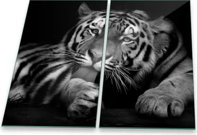 Produktbild von Herdabdeckplatten Glaskeramikfeld Spritzschutz Glas Tiger 2x30x52 Universal 2-Teilig