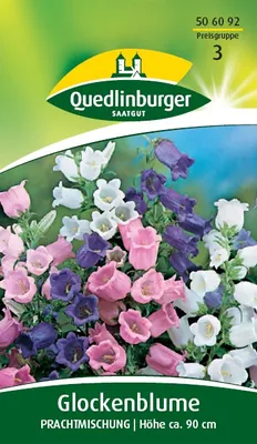 Produktbild von Quedlinburger Saatgut - Glockenblume Prachtmischung - Samen - 506092