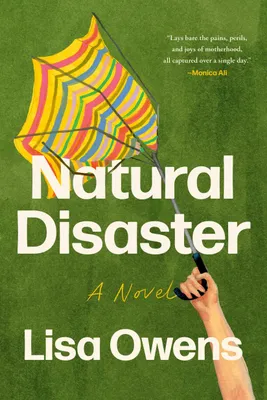 Produktbild von Natural Disaster