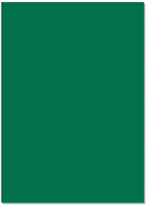 Produktbild von Folia Fotokarton 50x70 25Bl tannengrün 300g