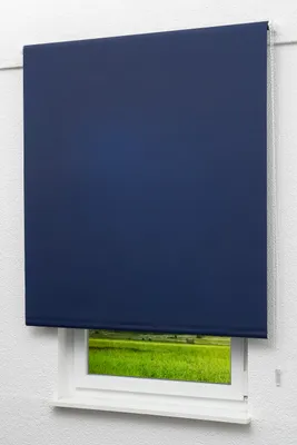 Produktbild von Lysel Outlet - Basisrollo Tageslicht Dunkelblau, (B x H) 102.50cm x 190cm in blau/dunkelblau