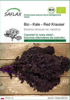 Zdjęcie produktu dla SAFLAX - Bio - Kale - Red Krauser - 50 Nasiona - Brassica oleracea var. sabellica