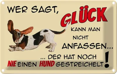 Produktbild von vianmo Blechschild 20x30 cm Hund wer sagt Glück kann nicht Tier Haustier