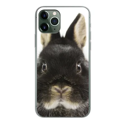 Produktbild von MuchoWow® Handyhülle Schutzhülle Hülle für iPhone 11 Pro Kaninchen - Haustiere - Fell Silikon Softcase Handy Hülle - Handy
