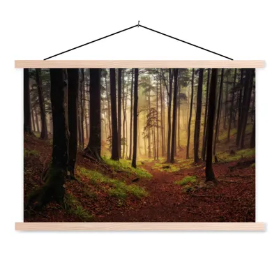 Produktbild von MuchoWow® Textilposter Bäume - Natur - Wald 120x80 cm mit holzfarbenen Rahmen - Aufhängeset