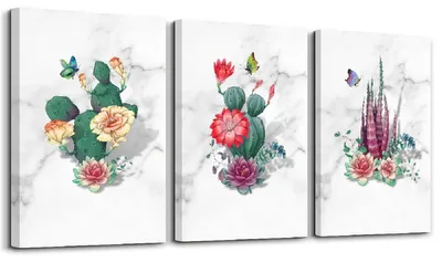 Produktbild von Visario Leinwandbild Kakteen 120x80 cm – Bild Wandbild Kunstdruck, aufhängfertig, Echtholzrahmen, Zackenaufhänger, Art. 4407