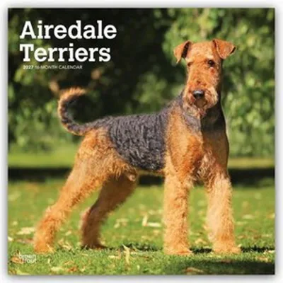 Produktbild von Airedale Terrier 2027 - 16-Monatskalender
