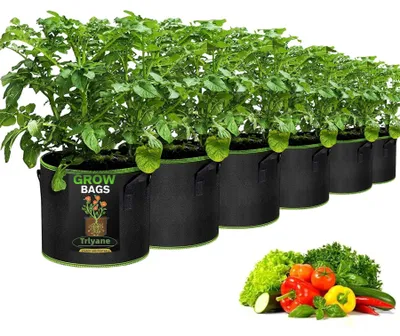 Immagine prodotto di 6 sacchetti per la coltivazione, capacità di 5 galloni/circa 20 litri, sacchetti in tessuto nero per piante con maniglie