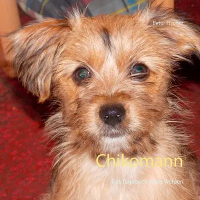 Image de Chikomann