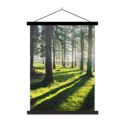 Produktbild von MuchoWow® Textilposter Bäume - Natur - Wald 60x80 cm mit schwarzem Rahmen - Plakathalter