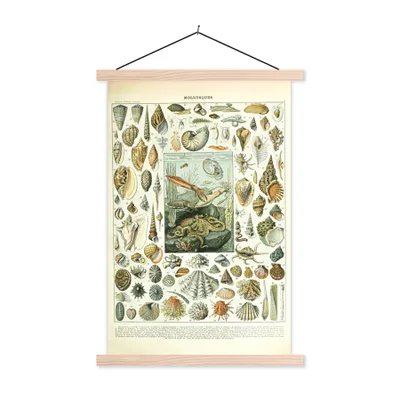 Produktbild von MuchoWow® Textilposter Meerestiere - Muschel - Vintage - Meer - Adolphe Millot 40x60 cm mit holzfarbenen Rahmen - Poster