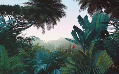 Obrázek produktu pro Fototapeta vliesová LJX8-060 Jungle Morning 400x250 cm