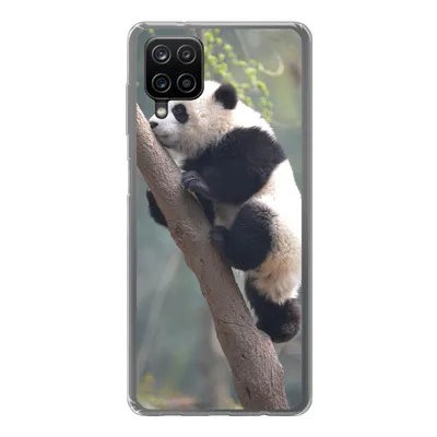 Produktbild von MuchoWow® Handyhülle Schutzhülle Hülle für Samsung Galaxy A12 Panda - Tier - Baum Silikon Softcase Handy Hülle - Bild