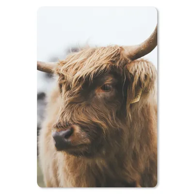 Produktbild von MuchoWow® Mauspad Mousepad Schottischer Highlander - Tiere - Hörner 18x27 cm - Mousepads - Maus Mat - Pad - Mausunterlage