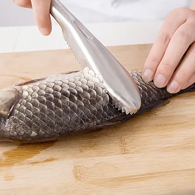 Image de Écailleur de poisson écailleur de poisson écailleur de poisson couteau à poisson acier inoxydable