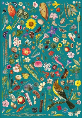 Produktbild von Gibsons RHS Floral Fantasy, 500 Stück(e)