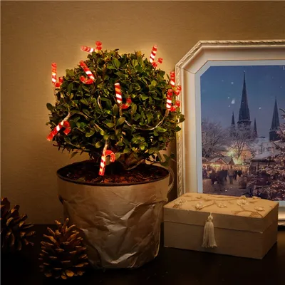 Produktbild von 10er LED-Lichterkette "Zuckerstangen"