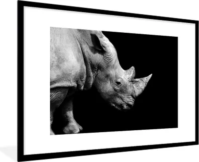 Produktbild von MuchoWow® MuchoWow® Gerahmtes Poster Portrait Nashorn auf schwarzem Hintergrund 90x60 cm - Poster mit zchwarzem Bilderrahmen - Wanddekoration - Fotos