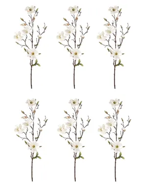 Produktbild von 6er Set künstliche Magnolienzweige Kirschblüten creme weiß H. 78cm Emerald