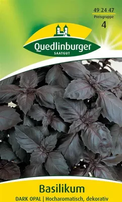 Produktbild von Basilikum, Dark Opal