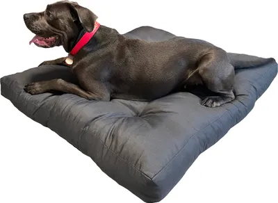 A large gray dog is lying on a gray dog bed.