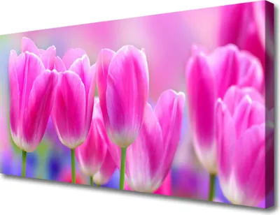 Produktbild von Tulup Leinwand-Bilder 100x50 Wandbild Canvas Kunstdruck Tulpen Pflanzen