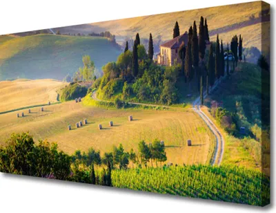 Produktbild von Tulup Leinwand-Bilder 100x50 Wandbild Canvas Kunstdruck Acker Bäume Landschaft