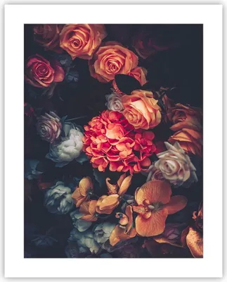Produktbild von Poster - Poster ohne Rahmen - Blumenstrauß Blumen Rosen - 40x50 cm - Wand Bild - Wanddeko - Wandbilder - Kunstposter - Wandposter - Bilder - Kunstdruck - Wanddekoration - Wandbild - P2XPA40x50-5002