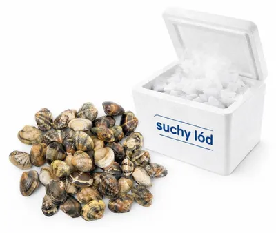 Produktbild von Venusmuscheln Vongole 1kg
