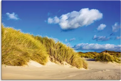 Produktbild von ARTland Leinwandbild Landschaft mit Dünen Insel Amrum Größe: 90x60 cm