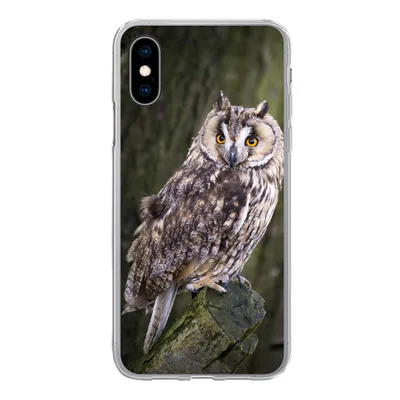 Produktbild von MuchoWow® Handyhülle Schutzhülle Hülle für iPhone X Eule - Nahaufnahme - Baum Silikon Softcase Handy Hülle - Handyhülle