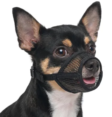 Productafbeelding van Hondenmondkapje voor kleine honden, ademend en comfortabel, geschikt voor snuitomvang 12-15 cm