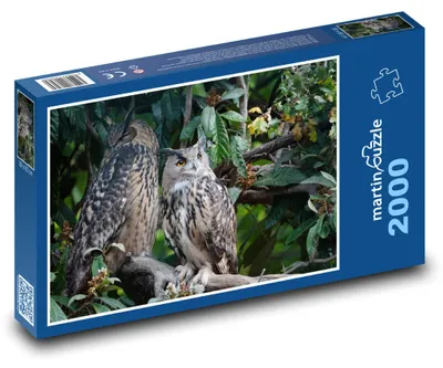 Obrázek produktu pro martinpuzzle - Puzzle 2000 - Výr velký