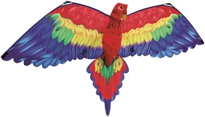 Image de Cerf-volant Cora 144x80cm Polyester avec ficelle