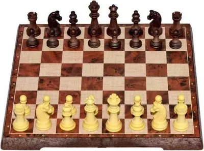 Image de Jeu d'échecs et de dames magnétique 2en1