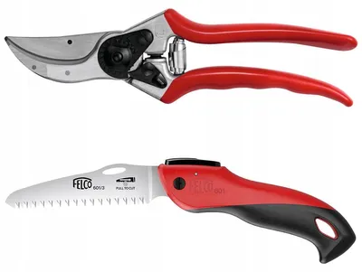 Produktbild von Felco Gartenschere Felco 2 + Klappsäge Felco 601