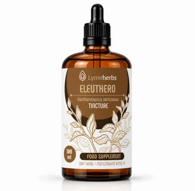 Produktbild von Borstige Taigawurzel (Eleuthero), Tinktur 1:5 (100 ml), KI-generiertes Bild