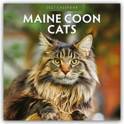 Produktbild von Maine Coon Cats - Maine Coon Katzen 2027 - 16-Monatskalender